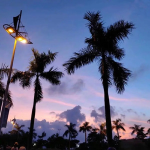 伊朗多毛妓女毛茸茸的
